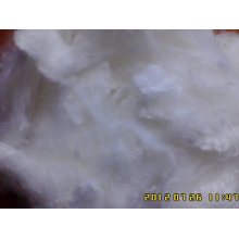 苏州泷邦高分子纤维有限公司-阻燃腈纶纤维，长丝，短纤维